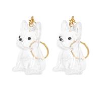 HOODANCOS Lot de 2 Porte-Clés Transparents pour Poils de Chien Pendentifs Capsule à Souvenirs de Boîte Contenant Solide pour Rangement et Collection de Poils D’Animaux Accessoire