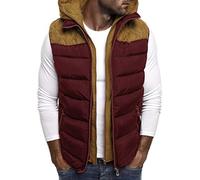 Hooded Bubble Gilet Doudoune Sans Manches Homme Hiver Chaud Manteaux Sans Manche à Capuche Classics Veste Matelassé Hommes GarçOn Automne Hiver Taille S à 5xl Gilet à Capuche Doudoune Sportif Zip