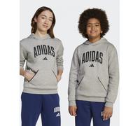 Hoodie Garçons Kids unisex Adidas Ess Collegiate Junior Gris avec des poches