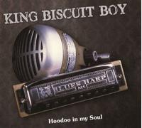 Hoodoo In My Soul
