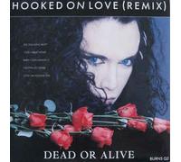 Hooked on love (1987, Remix, UK) / Vinyl single [Vinyl-Single 7'']