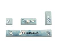 HOOLRZI Lot de 4 touches PBT OEM Profile Space 2 x ENTER Keycap Dye Subb pour clavier mécanique Oem Keycaps Set PBT 4 touches 6.25U Space Enter Spcebar Keycap