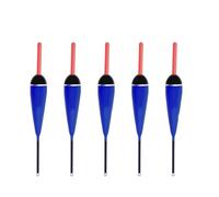 HOOLRZI Lot de 5 flotteurs verticaux pour la pêche en eau salée 13 cm-14,5 cm