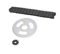 HOOLRZI Plateau de chaîne de pignon de karts - Construction haute résistance à l'usure améliorée pour une durée de vie prolongée - Pignon en acier léger