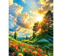 Hoonjiin Colline du soleil Peinture Numero Adulte sans Cadre,Paint by Numbers peinture par numero adulte Plantes,DIY Peinture Acrylique Numéro d'art avec Pinceaux pour Décoration et Cadeaux(40x50cm)