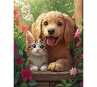 Hoonjiin Peinture par Numero Adulte sans Cadre Chien Chat,Animal Bricolage Kit de peinture par numéros pour adulte débutants,Peinture Acrylique à l'huile pour Décoration Murale Maison 16x20inch