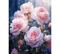 Hoonjiin Peinture par Numero Adulte sans Cadre Rain Drop,Rose Bricolage Kit de peinture par numéros pour adulte débutants,Peinture Acrylique à l'huile pour Décoration Murale Maison 12x16inch