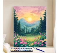 Hoonjiin Pin Peinture Numero Adulte sans Cadre,Paint by Numbers peinture par numero adulte Soleil,DIY Peinture Acrylique Numéro d'art avec Pinceaux pour Décoration et Cadeaux(45x60cm)