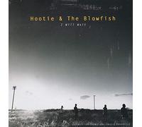 Hootie & The Blowfish - I Will Wait Pt 1 / Driver 8