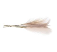 HOOTNEE 6 Pièces Herbe Pampa Artificielle Beige Jaune Clair Café Clair, Décoration Intérieure Maison, Bouquet Faux Roseaux Naturel, Plante Décorative sans Entretien