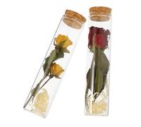 HOOTNEE Lot de 2 Mini Bouteilles en Verre avec Bouchon de Liège Flacons Décoratifs Contenant Fleurs Séchées Rouge et Jaune pour Message Une Bouteille Décoration Intérieure et Présent