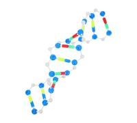 HOOTNEE Modèle D’adn Éducatif à Double Hélice, Kit Moléculaire Pédagogique pour Cours de Biologie, Structure en Hélice à Assembler, Matériel Scientifique pour Apprentissage Génétique