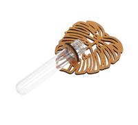 HOOTNEE Support pour Tubes De Propagation De Plantes Station De Culture Hydroponique avec Étagère Décorative pour Intérieur Et Bureau