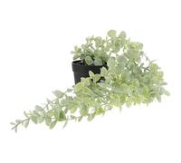 HOOTNEE Suspendre Murale de Plante Artificielle 9 Branches d'Eucalyptus Blanc Décoration Suspendue en Rotin Végétal Pendentif en Fausse Vigne pour Intérieur et Jardin Ornements Muraux