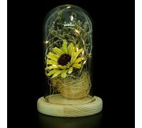 HOOTNEE Tournesol sous Verre Socle à Piles LED, Décoration Fleurie Jaune pour Bureau et Maison, Objet Décoratif Compact et Solide, Exposition Tournesols, Centre de Table Élégant, Présent