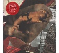 Hooton Tennis Club - Jasper/Standing Knees