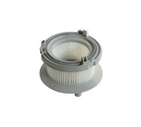 Hoover - Filtre Hepa T80 Alyx - Ref: 35600415