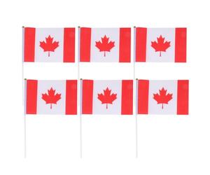 HOOWIFFY Drapeaux Canadiens à Main Lavables et Résistants Décoloration 20pcs en Polyester et Plastique Décoration de Bureau et Salle de Classe