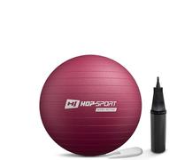 Hop-Sport Ballon de Fitness 45 cm HS-R045YB avec Pompe à air, Anti-éclatement, Ballon de Gymnastique Antidérapant pour Yoga, Pilates et Renforcement Musculaire, Charge Max. 100 kg, Violet mûre