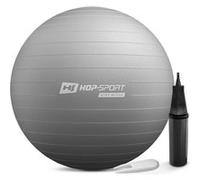 Hop-Sport Ballon de Fitness 65 cm HS-R065YB avec Pompe à air, Anti-éclatement, Ballon de Gymnastique Antidérapant pour Yoga, Pilates et Renforcement Musculaire, Charge max. 100 kg, Argenté Argenté G