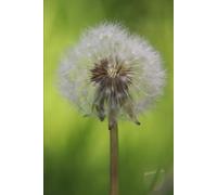 Hope for the Hurting Heart: Finding God's Truth in Life's Deepest Struggles