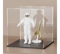 HOPEME Vitrine en acrylique pour objets de collection, 20,3 x 20,3 x 20,3 cm, vitrine en acrylique anti-poussière avec couvercle et base noire mate pour modèles et figurines