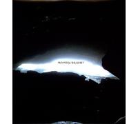 Hopkins Bradley - Nothing Hides Better Than Darkness