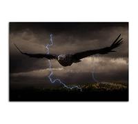 HOPNRU Aigle en vol affiche Animal pygargue à tête blanche foudre Nature paysage mur Art impression toile photo moderne bureau à domicile salon décor affiche (30x45cm-Sans cadre)