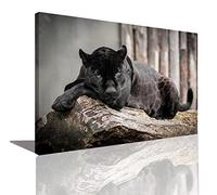 HOPNRU Animal léopard mur Art photo noir panthère affiche impression toile peinture moderne salon bureau décor (20x30cm-Encadrée)
