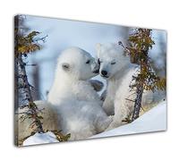 HOPNRU Forêt petits oursons blancs ours polaire affiche Animal mur Art photo impression toile peinture moderne maison chambre esthétique salon bureau décor affiche (40x60cm-Encadrée)