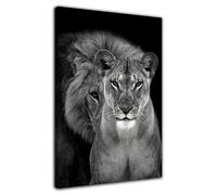 HOPNRU Lion Et Lioness Wall Art Picture Noir Et Blanc Animaux MâLes Et Femelles Lion Poster Impression Sur Toile Salon Bureau Salle De Bain DéCoration (40x60cm-EncadréE)
