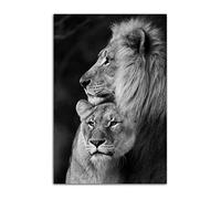 HOPNRU Lion Et Lionne Hug Poster Noir Et Blanc Animaux Lion Wall Art Picture Print Canvas Painting Modern Home Living Room Decoration Poster (20x30cm Sans Cadre)