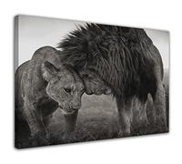 HOPNRU Noir et Blanc Animal Lion et Lionne Affiche Mur Art Image Chambre Esthétique Impression Toile Peinture pour Salon Bureau Salle De Bains Décor (20x30cm-Encadrée)