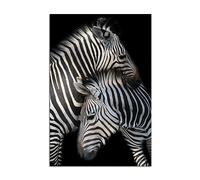HOPNRU Noir et blanc animal zèbre affiche deux zèbres étreignant mur art photo impression toile peinture pour salon bureau moderne décor à la maison murale (30x45cm-Sans cadre)