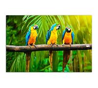 HOPNRU Perroquet sur une branche affiche animaux oiseaux mur Art impression toile Art peinture moderne maison salon décor photo (20x30cm-Sans cadre)