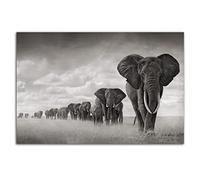 HOPNRU Savane africaine éléphant mur Art photo noir et blanc Animal affiche impression toile peinture moderne maison salon bureau décoration affiche (30x45cm-Sans cadre)