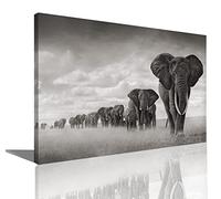 HOPNRU Savane africaine éléphant mur Art photo noir et blanc Animal affiche impression toile peinture moderne maison salon bureau décoration affiche (40x60cm-Encadrée)