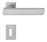 HOPPE DALLAS Poignée de porte sur mini rosace BB, épaisseur de porte 40-50 en acier inoxydable mat