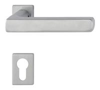 HOPPE DALLAS Poignée de porte sur mini rosace PZ Épaisseur 40-50 Acier inoxydable mat