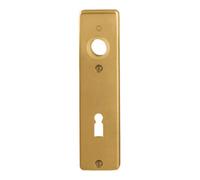 Hoppe HOPPE ZT-Plaque courte 202KP à trou Buntbart, E72 alu, F4 anodisé, pièce Quantité:1