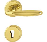 Hoppe Poignée Roissy avec rosace Cylindre profilé Laiton poli 3066793