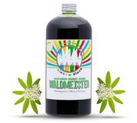 Hopser Food Fun Rainbow Slush Sirop sans AZO | Bouteille de 1 l | Concentré pour machine à glace, machines à glace, machines à glace, boissons 1:5 à 1:20 (maître de la forêt)