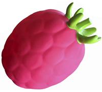 Hopser Hüpffrucht Framboise Hoppfer Sauter Cheval sauteur Enfants incl. pompe rose