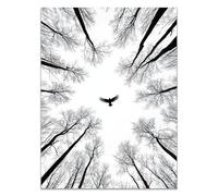 HOQIU Photo Noir Et Blanc, Peinture d’aigle sur la forêt affiche murale, deco mural, Pour la maison, le bureau, la chambre - 30x40cm Sans cadre(noir et blanc)