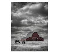 HOQIU Poster Noir Et Blanc Maisons de prairie et chevaux décoration maison, tableau toile decoration murale, Chambre Salle De Bain Cuisine Bureau(noir et blanc)-80x120cm Sans cadre