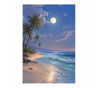 HOQIU Tableau decoration murale Plages tropicales au clair de lune toile decoration murale, posters et arts décoratifs, Leinwand Wandbilder Wohnzimmer Schlafzimmer (Multicolore)-60x80cm Sans cadre