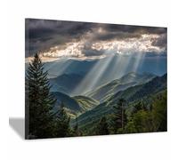 HOQIU Tableau decoration murale Ruisseau Forestse enchanté tableaux, posters et arts décoratifs, tableau Cuisine Bureau decoration murale salon.(Multicolore)-30x40cm Encadrée