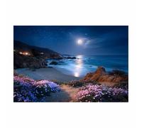 HOQIU Tableau paysage Fleurs sauvages côtières au clair de lune toile decoration murale, posters et arts décoratifs, Leinwand Wandbilder Wohnzimmer Schlafzimmer (Multicolore)-40x60cm Sans cadre