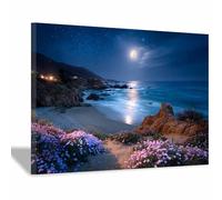 HOQIU Tableau paysage Fleurs sauvages côtières au clair de lune toile decoration murale, posters et arts décoratifs, Leinwand Wandbilder Wohnzimmer Schlafzimmer Wanddeko(Multicolore)-60x80cm Encadrée