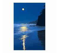 HOQIU Tableau paysage mural sur toile nature Plages au clair de lune est de l’art toile decoration murale, posters et arts décoratifs, Leinwand Wohnzimmer Schlafzimmer (Multicolore)-60x80cm Sans cadre